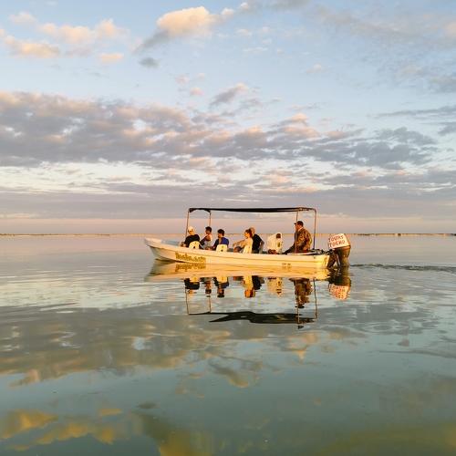 Rio Lagartos estuary