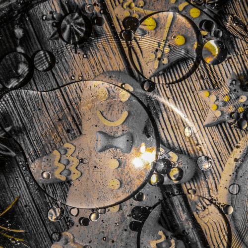 Photo #4839301