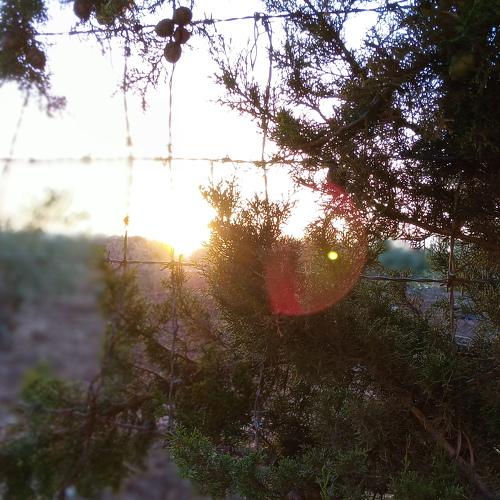 Photo #4839451
