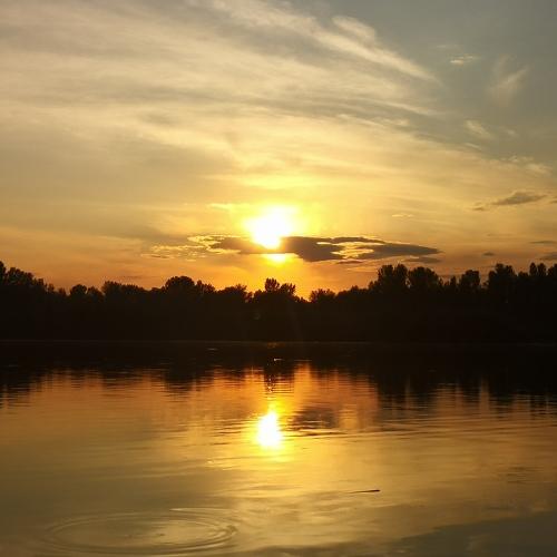 Photo #4839997