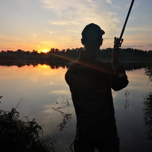 Photo #4840004