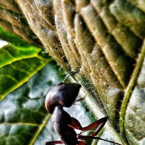 Photo #4840236