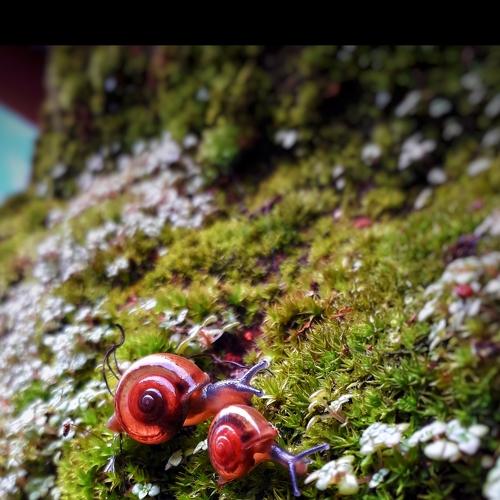 Photo #4840237