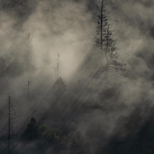 Photo #4840270