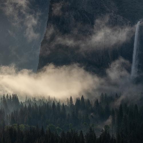 Photo #4840271