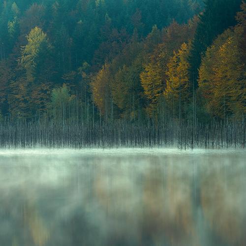 Photo #4840277