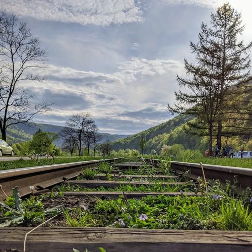 Photo #4840751