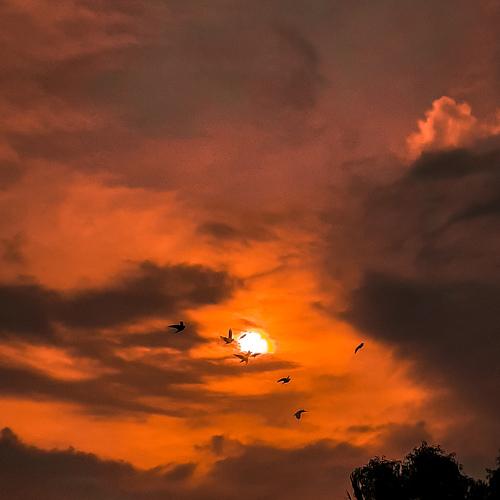 To beautiful to say Goodbye