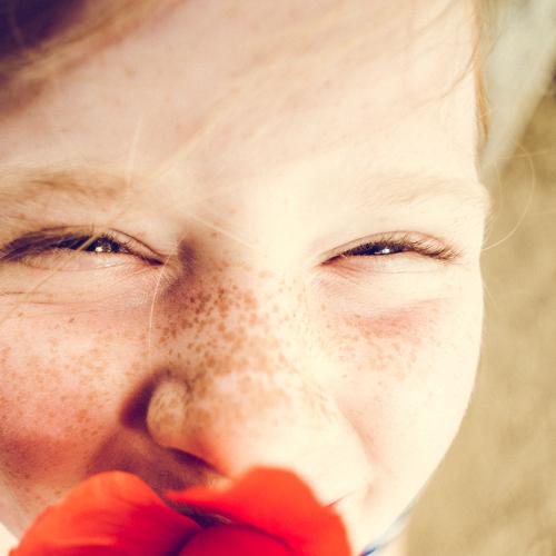 Photo #4840881