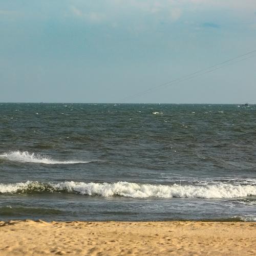 Photo #4840888