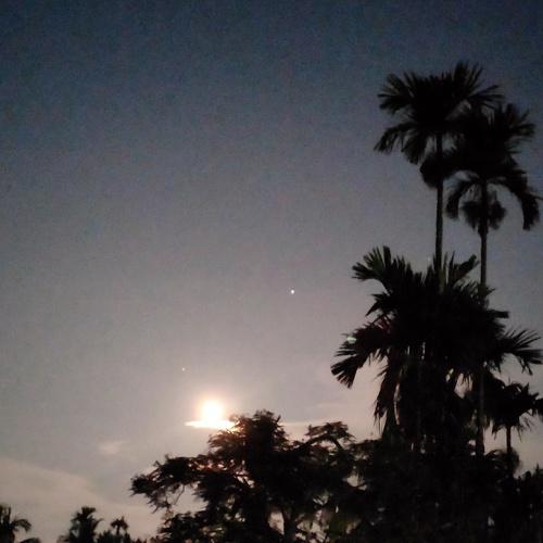 Photo #4841042