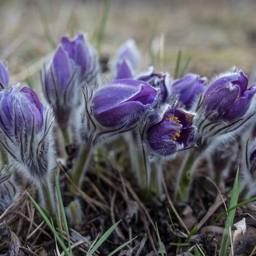 Photo #4841108