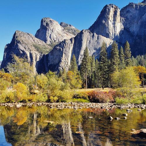 Photo #4841188