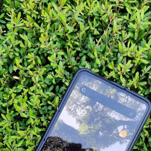 Photo #4841189