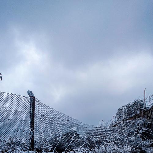 Photo #4841471