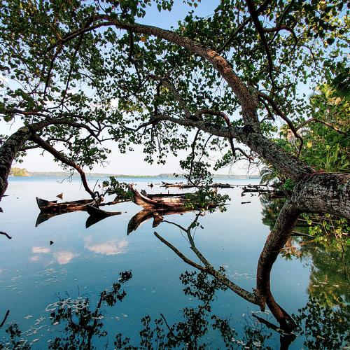 Photo #4841502