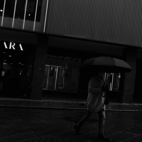 Photo #4841783