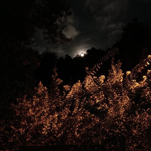 Photo #4841828