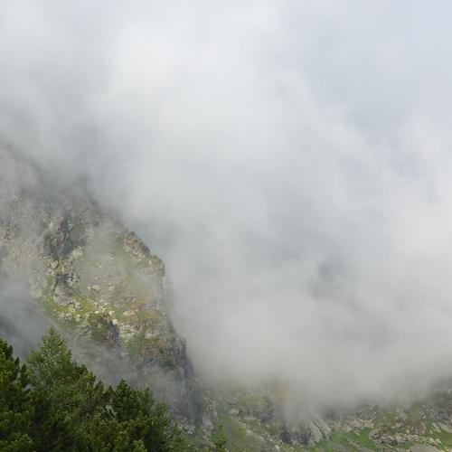 Photo #4841840