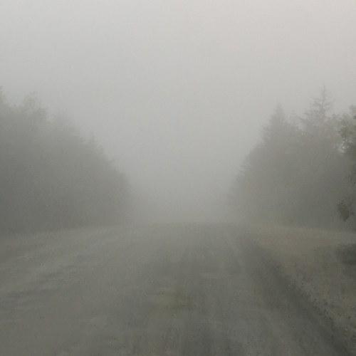 Photo #4842059
