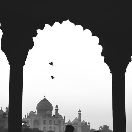 symbol of love and peace