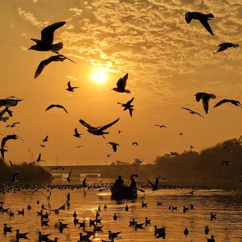 A Misty Morning at the Yamuna Ghat Delhi