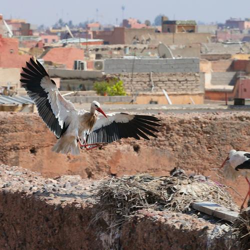 Photo #4843041