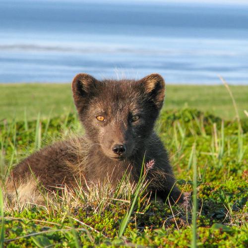 Photo #4843149