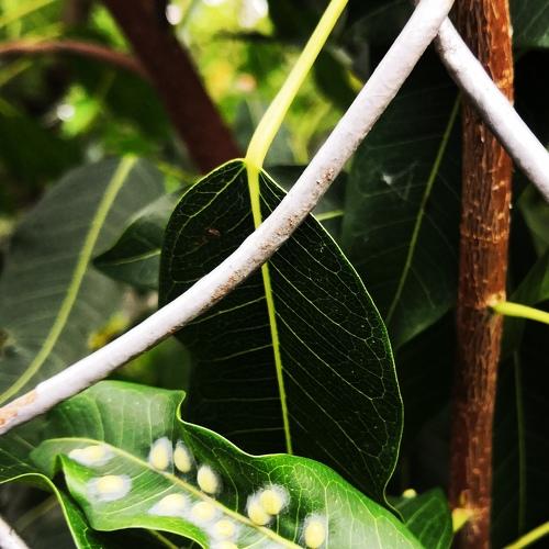 Photo #4843153