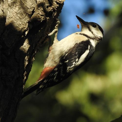Photo #4843295