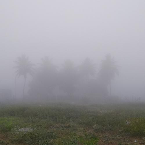 Photo #4843488