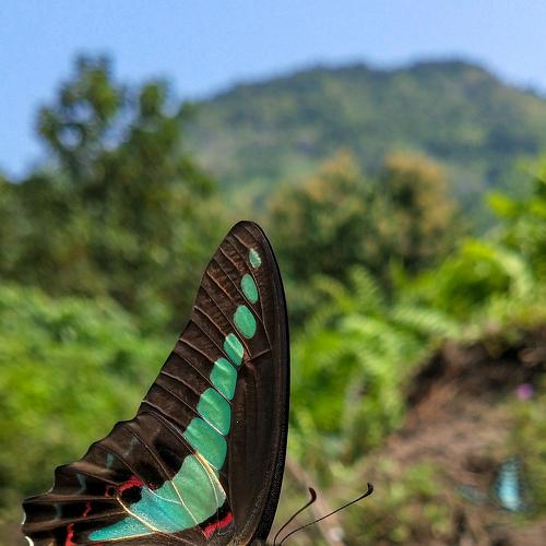 Photo #4843519