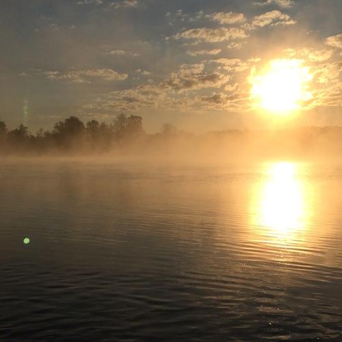 Photo #4843541