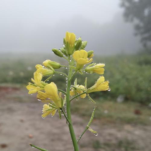 Photo #4843544