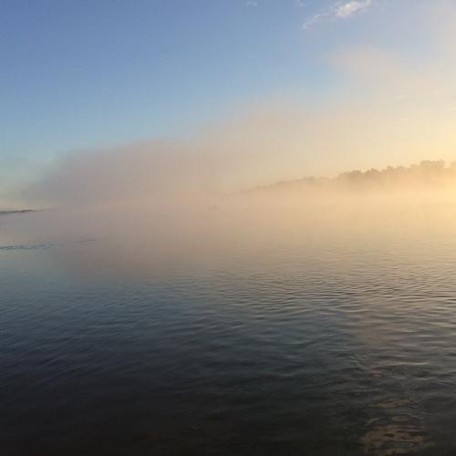 Photo #4843555