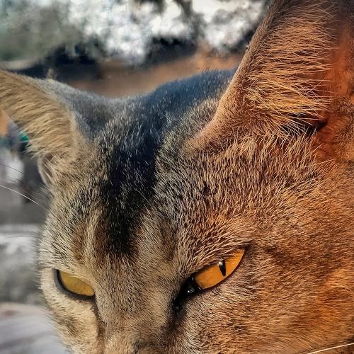 Photo #4843562