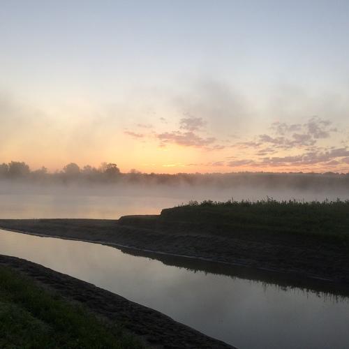 Photo #4843582
