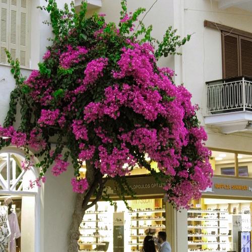 Photo #4843583