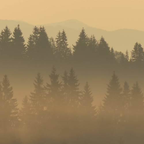 Photo #4843639