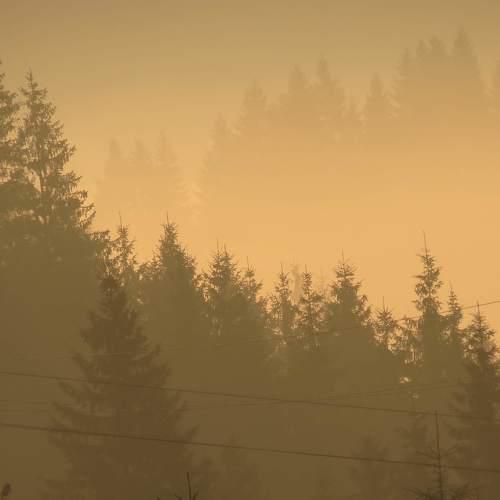Photo #4843659