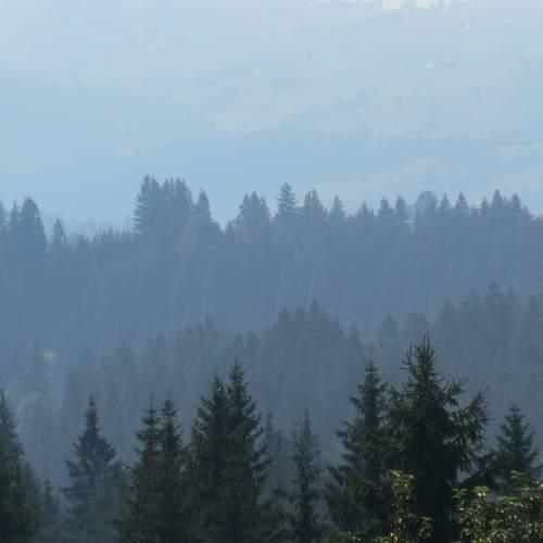 Photo #4843671