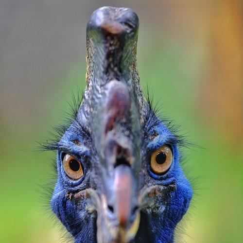 Photo #4843700