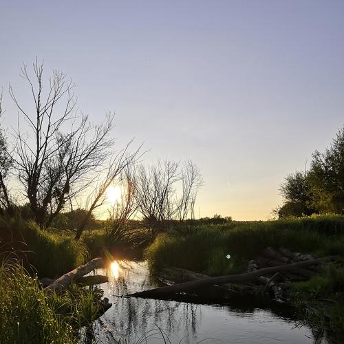 Photo #4843714