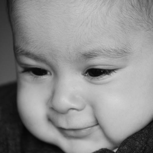 Photo #4843787