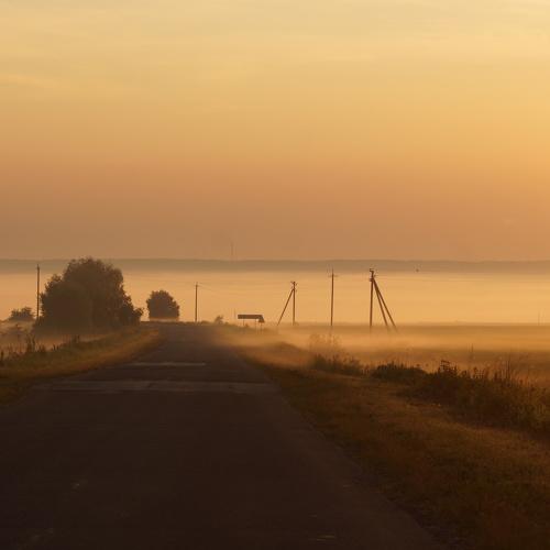 Photo #4843889