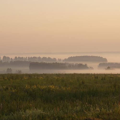 Photo #4843890