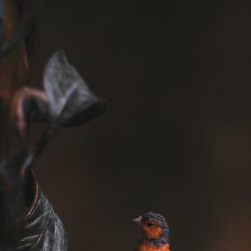 Photo #4843932
