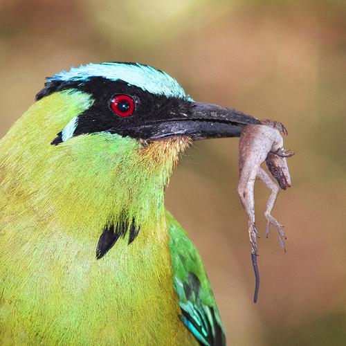 Photo #4844069