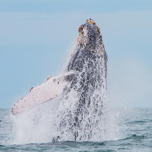 Photo #4844081