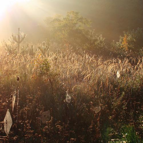 Photo #4844371